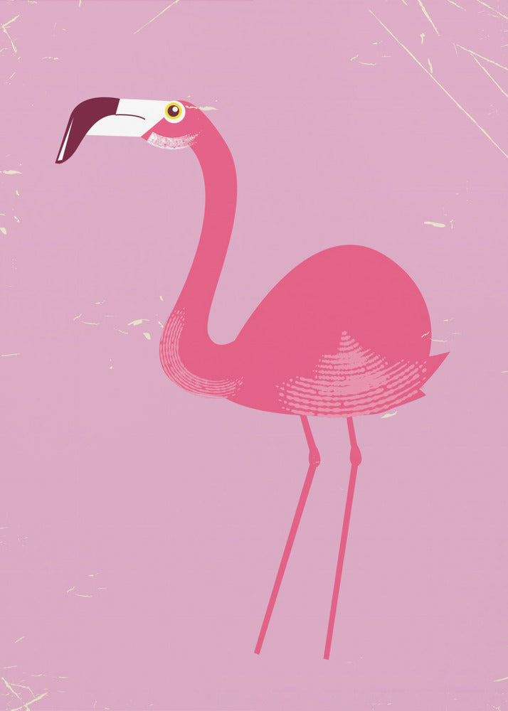 Flamingovogel | Leinwand