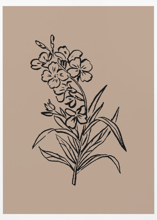 Delicate Blossoms | Poster