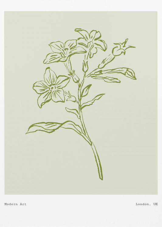 Botanical Elegance | Poster