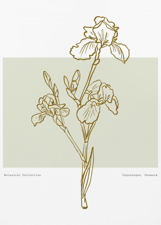 Floral Elegance | Poster