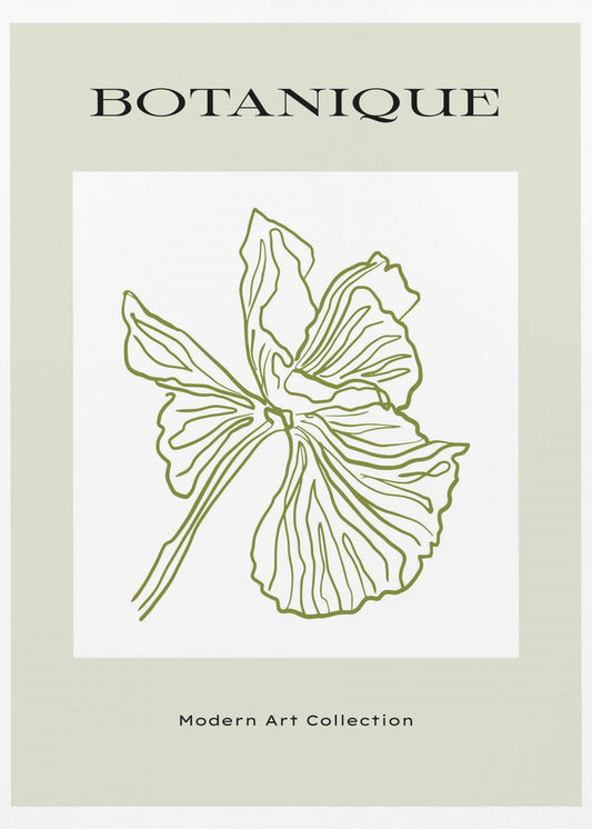 Green Flora Outline | Poster