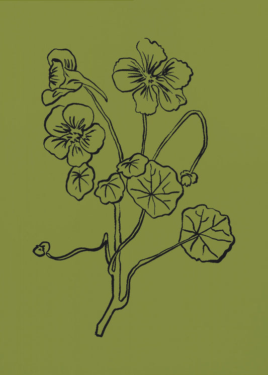 Delicate Lines of Nature | Poster