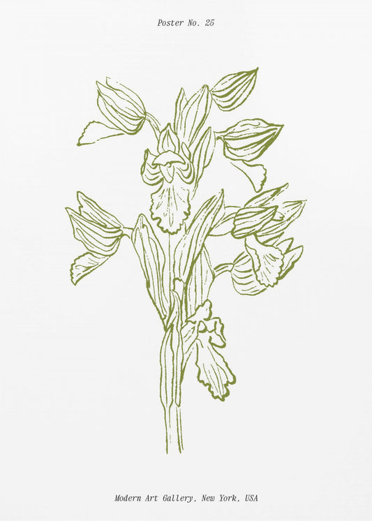 Orchid Harmony | Poster