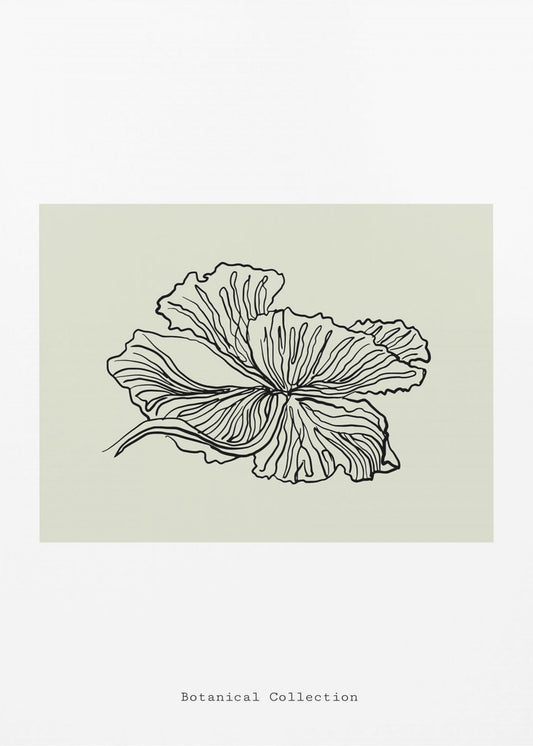 Gossamer Petals | Poster