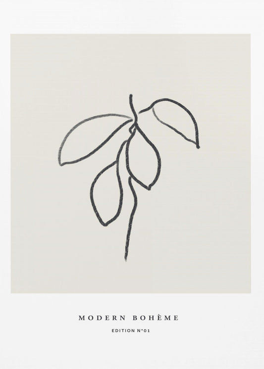 Bohemian Line Leaf | Poster