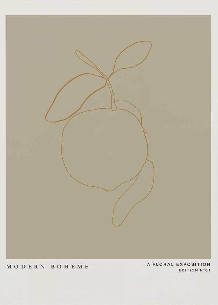 Minimalist Citrus | Poster