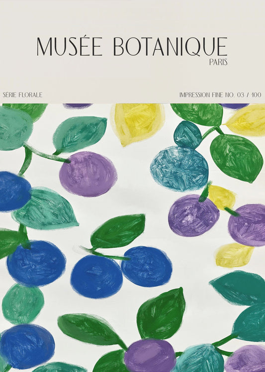 Museebotaniqueno11 | Poster