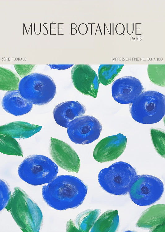 Museebotaniqueno12 | Poster