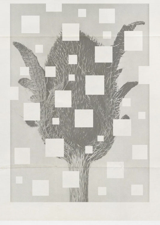 The art of botanic No.3 | Poster