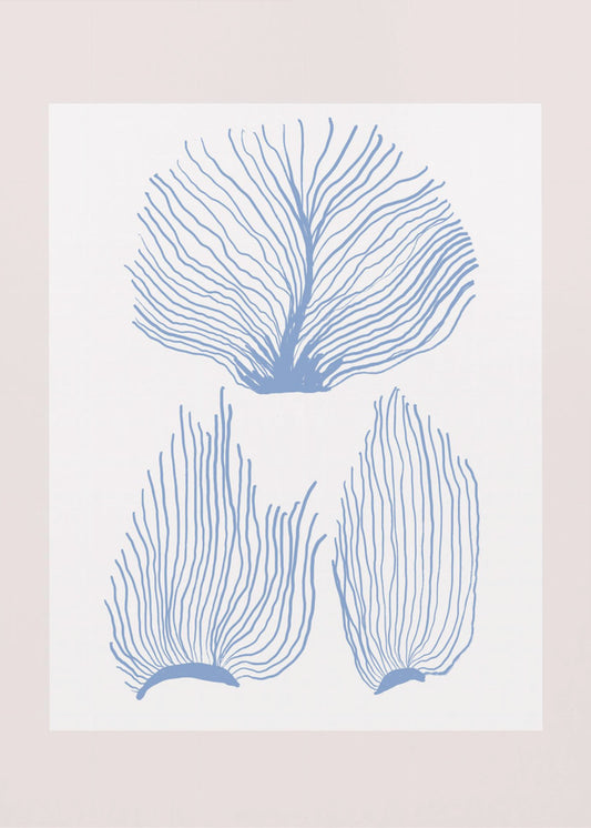 Maritimcalmeno01 | Poster