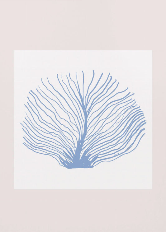 Maritimcalmeno02 | Poster