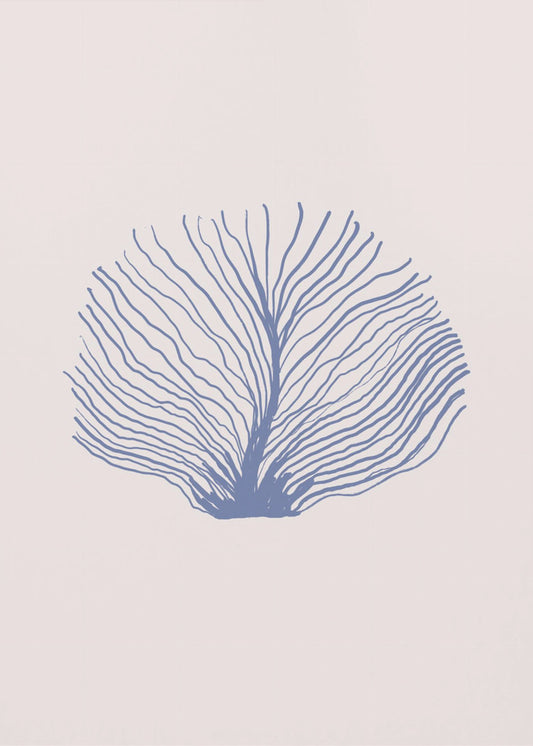 Maritimcalmeno07 | Poster