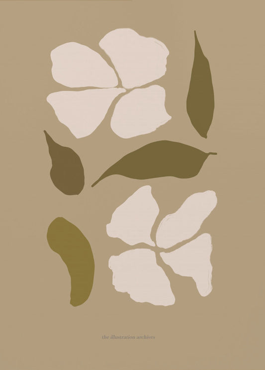 Scandilineno03 | Poster