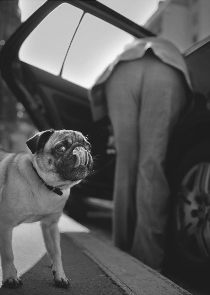 Nimetön | Canvastaulut