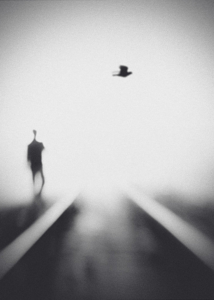 Nokturn | Wydruki na łótnie