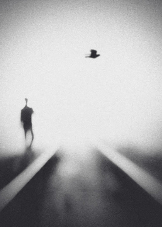 Nokturno | Canvastaulut