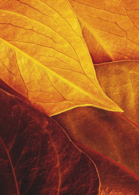 Lehdet | Canvastaulut