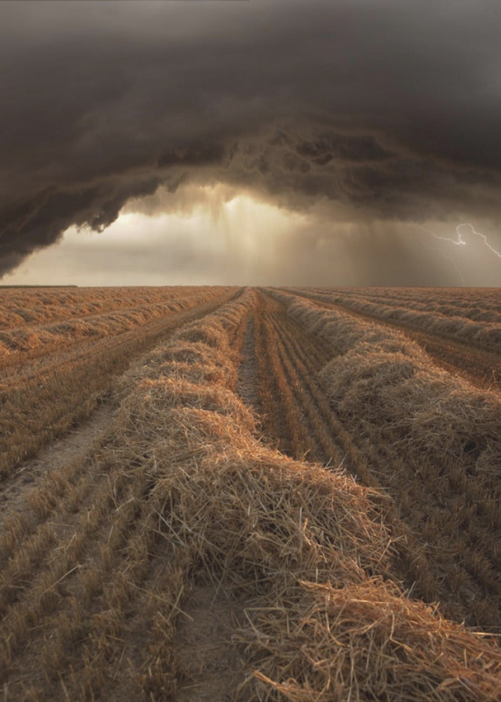 Ohne Titel | Leinwand-Bilder