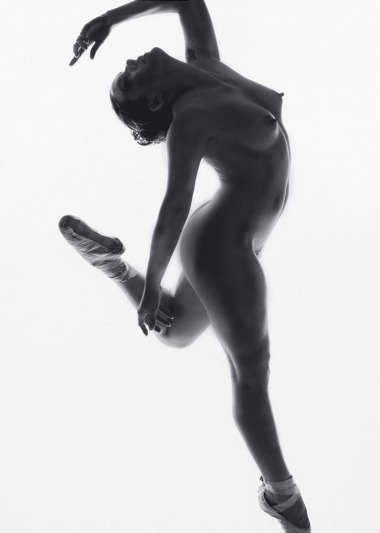 Fine Art Dance ... | Poster