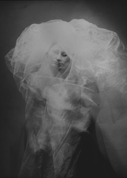 meduusa | Canvastaulut