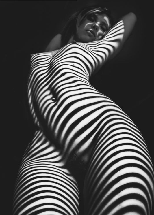 Schmetterling | Poster