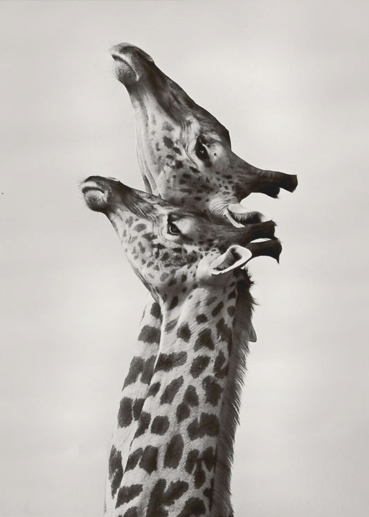 Tosi rakkaus | Canvastaulut