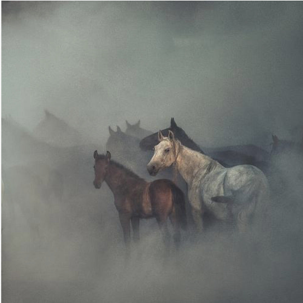The lost horses | Canvas