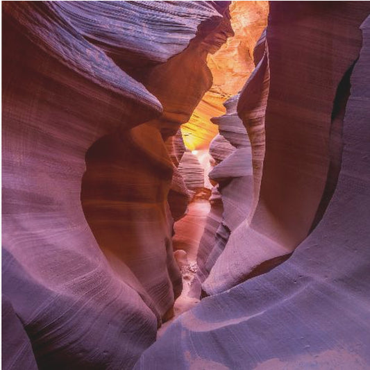 Fire in Canyon | Poster