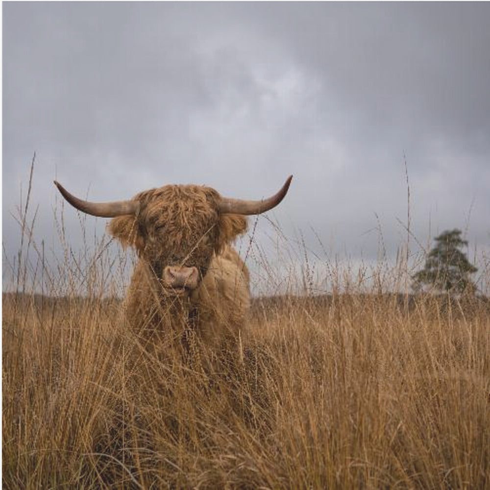 Se en ollut minä | Canvastaulut