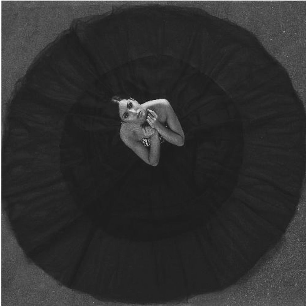 Musta joutsen | Canvastaulut