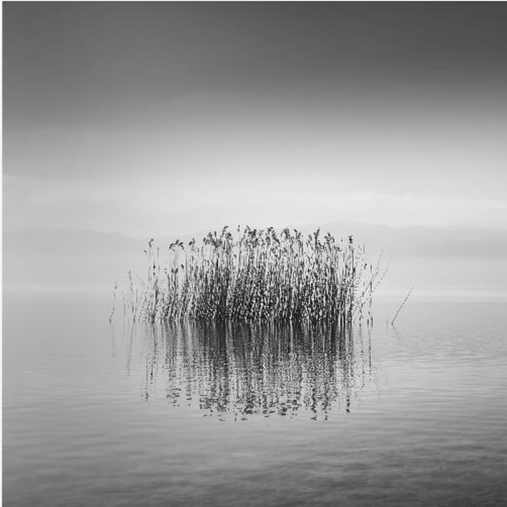 Mustavalkoinen hiljaisuus | Canvastaulut