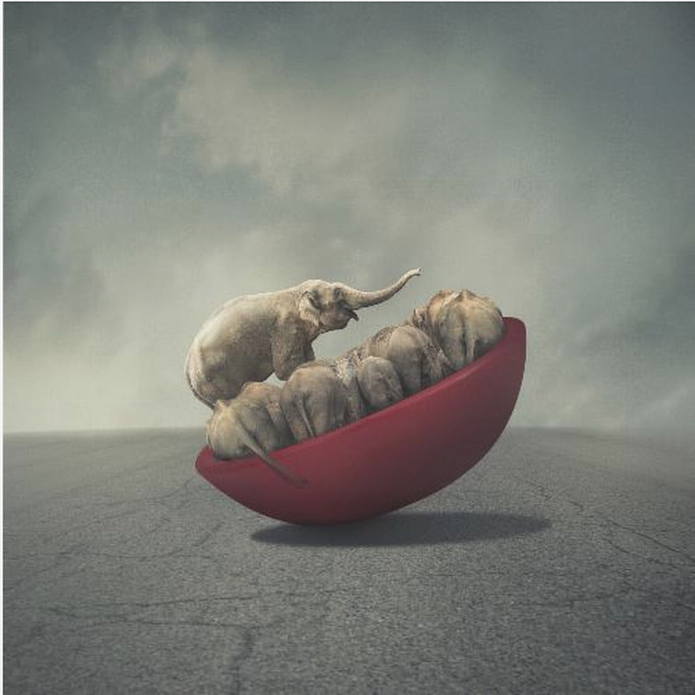 Life is a balance | Canvas