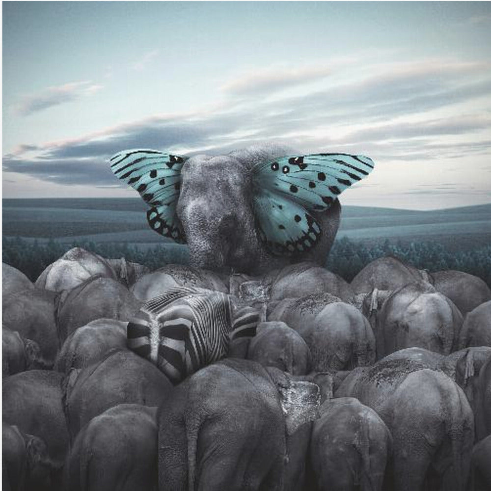 Hail to the King | Canvas