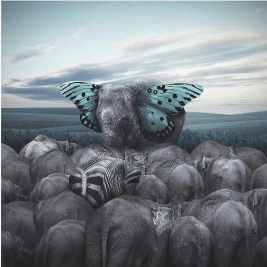 Hail to the King | Canvas