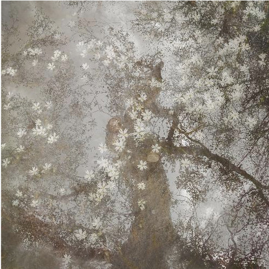 Up to heaven | Poster