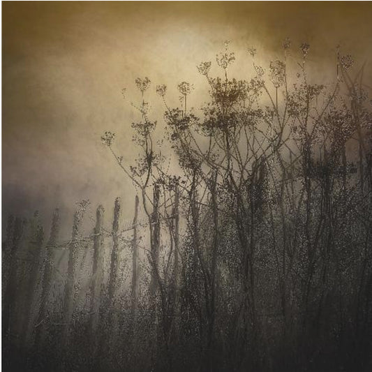 The old fence | Poster