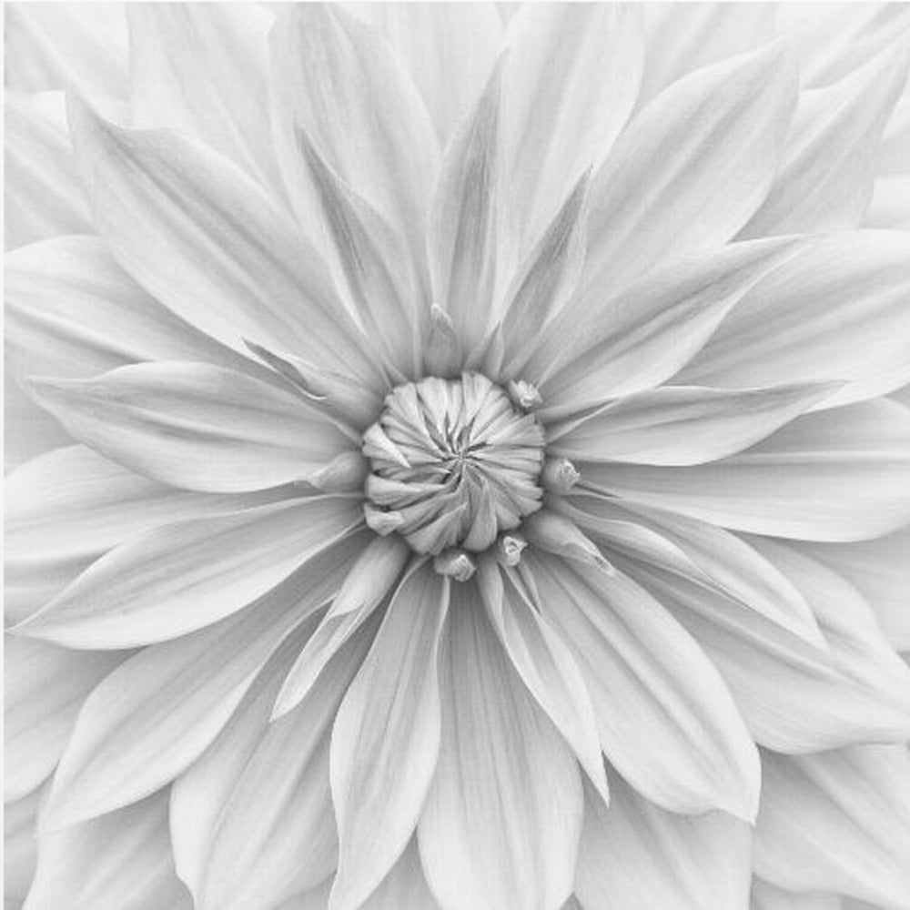 Hamari-kultaa yksivärisenä | Canvastaulut