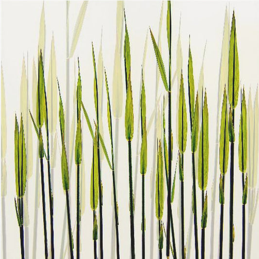 A new beginning | Poster