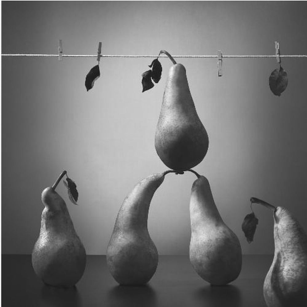 Pese ja kuivaa | Julisteet - Taidevedokset