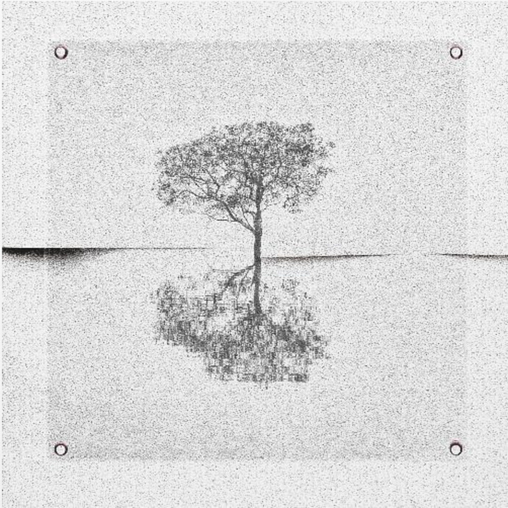 Broken canvas. | Canvas