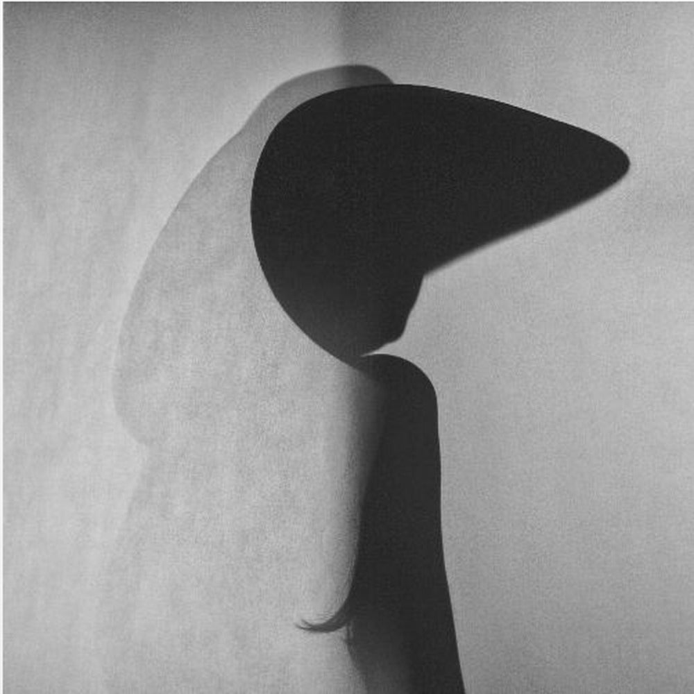 Kiinalainen paperiteatteri | Canvastaulut