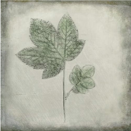 Before the Decay | Canvas