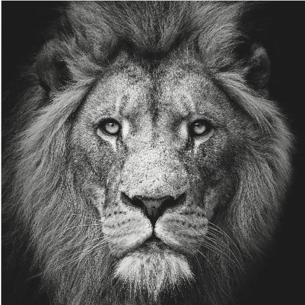 Tuijota minua alas #3 | Canvastaulut