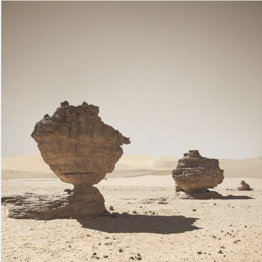 Bardzo Admer | Wydruki na łótnie