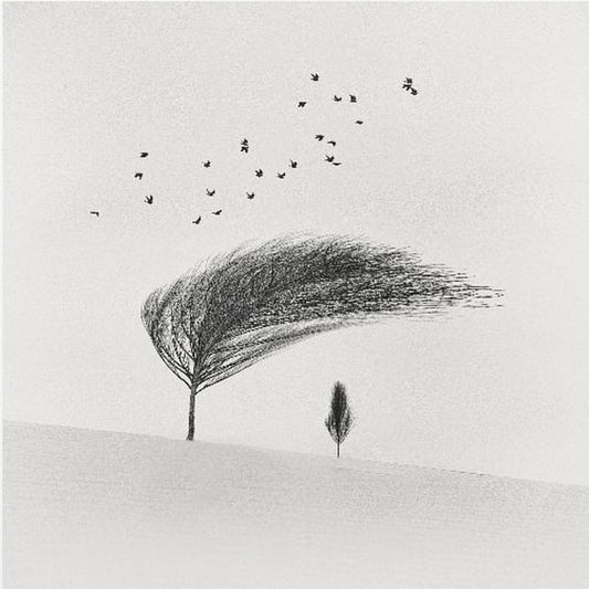 the protector | Poster