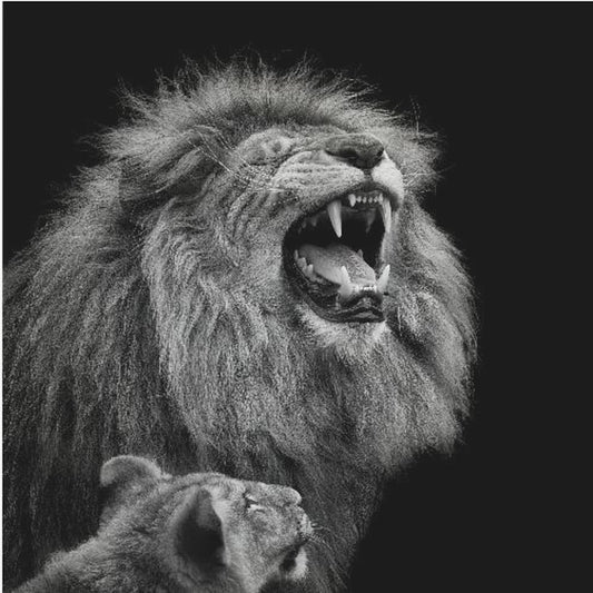 Hör zu, Baby | Leinwand-Bilder