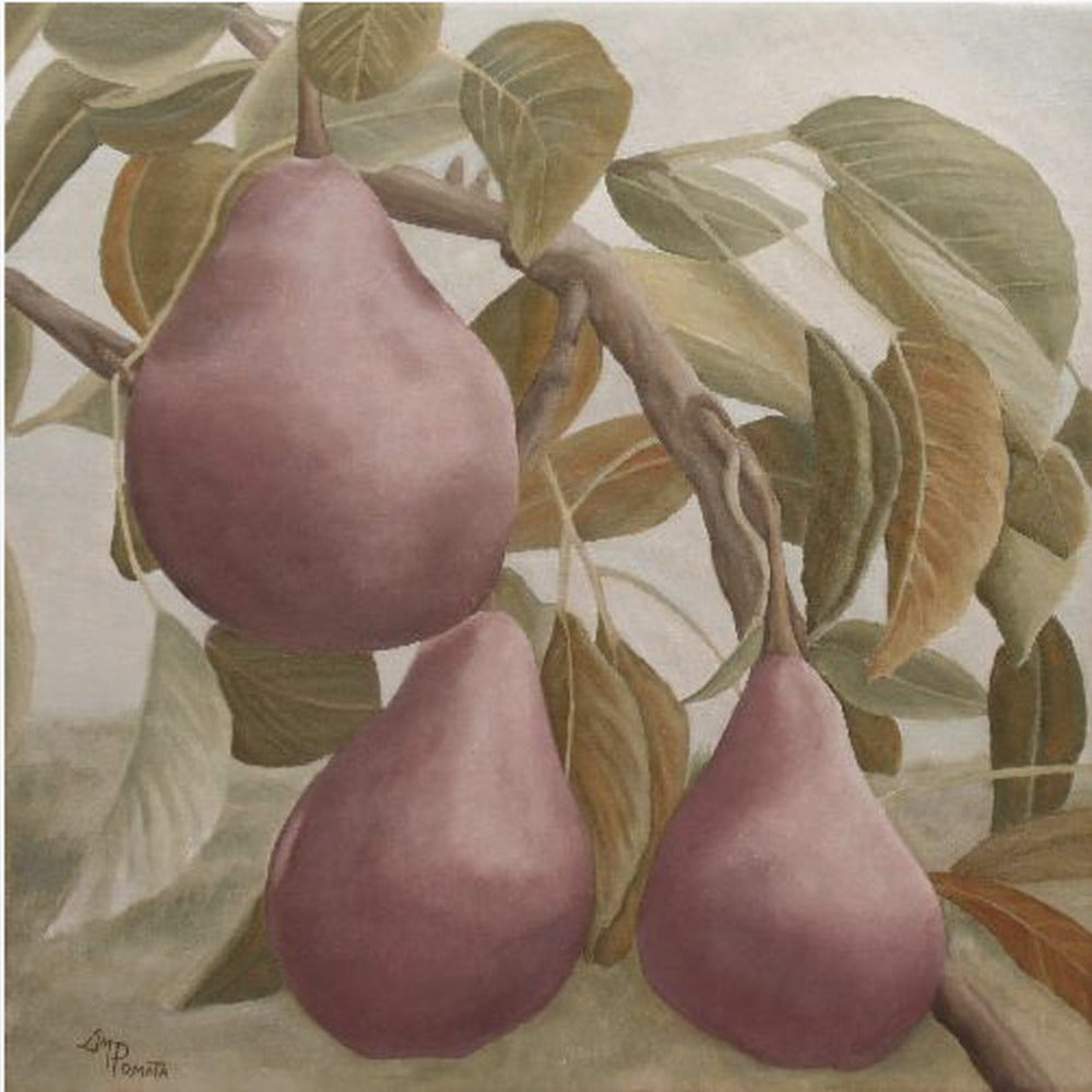 Pere Bartlett rosse Max | Poster - Stampe d’Arte