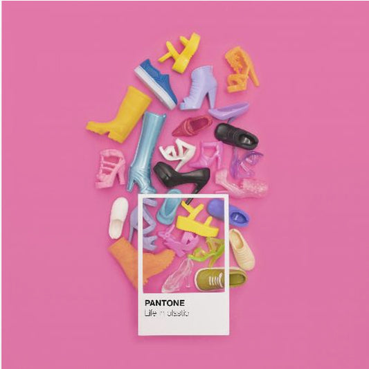 Leben in Plastik | Leinwand-Bilder