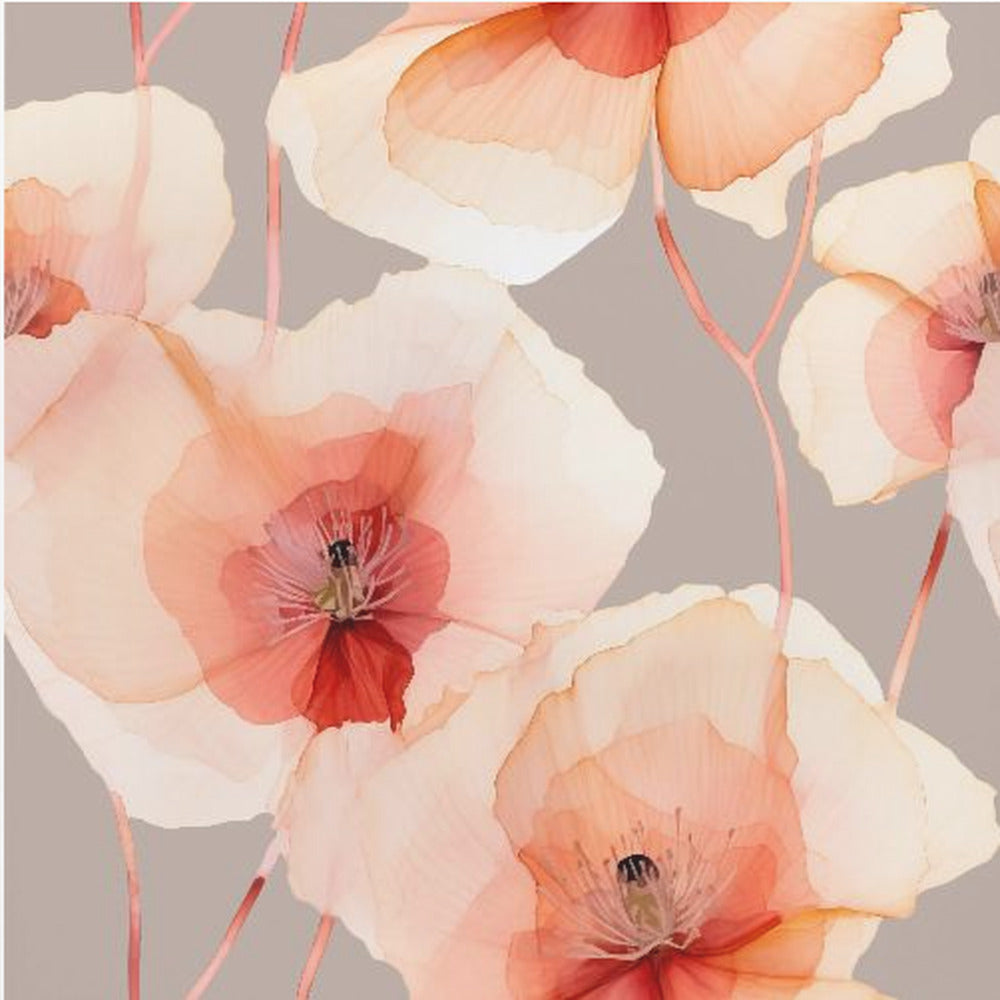 Sf 4 Transparent Fl 1 Grau | Leinwand-Bilder