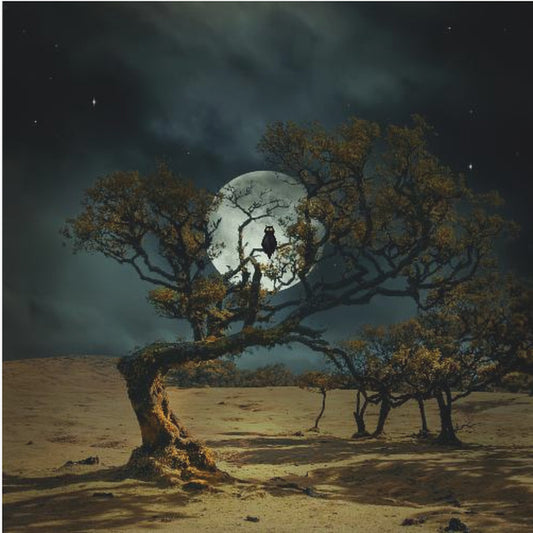 I'm Always Watching You | Poster